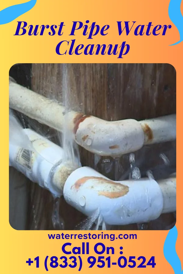Burst Pipe Water Cleanup in Aspen, CO